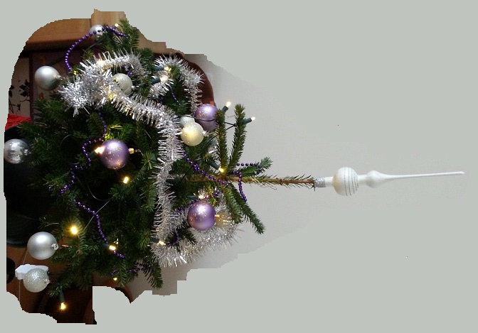 Lebender Christbaum