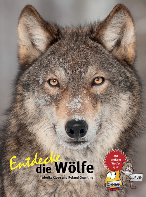 Rezension Kindersachbuch | Entdecke die Wölfe